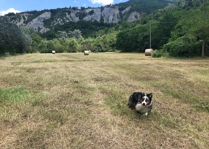 Tatil Evi Casa Alleolina - Oasi Di Pace Bobbio